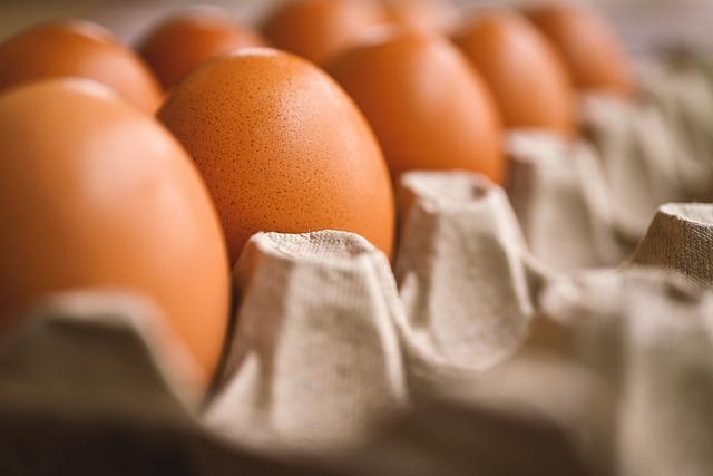 The Role‍ of Egg Supply in International‌ Diplomacy