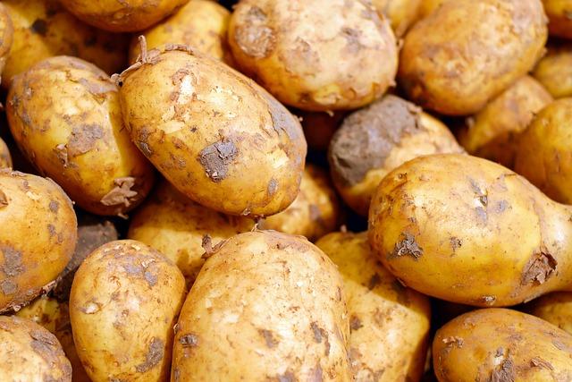 The Significance of Potatoes ⁣in Dutch-Cypriot Relations