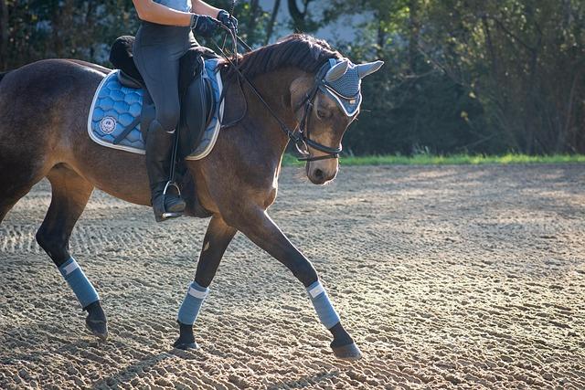 Future Outlook: How the Changes in Rankings Will Shape the Olympic Dressage Landscape