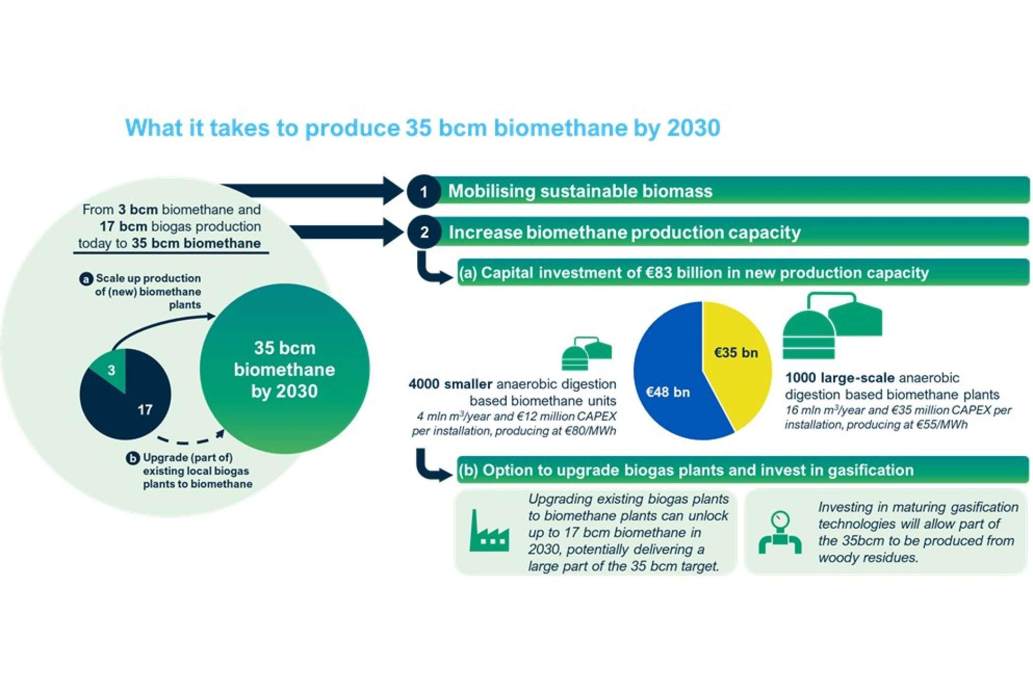 understanding the Importance of biomethane in​ Latvias Energy Landscape