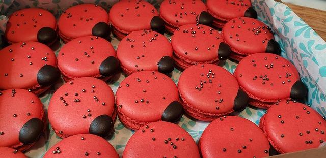 Public Reception and Media Coverage of Macrons Visit in Portugal
