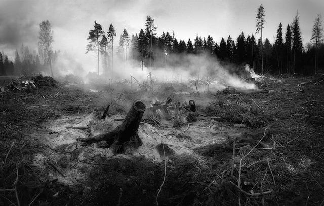 Local and International Support: Collaborating to combat Wildfires