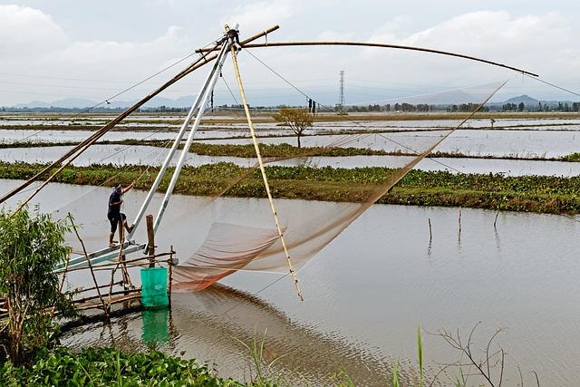 Understanding the Consequences for‍ Local Shellfish Fisheries