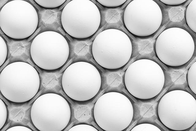 US Seeks Danish Support to Combat Egg Shortage Amid Bird Flu‌ Outbreak