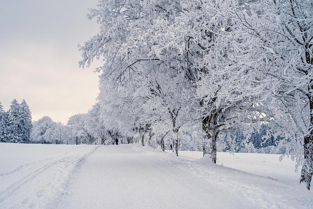 Return of Winter in Latvia as Temperatures Plunge