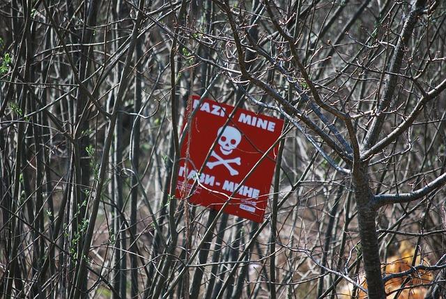 Analyzing the​ Rationale Behind the Ministers Stance on Landmines