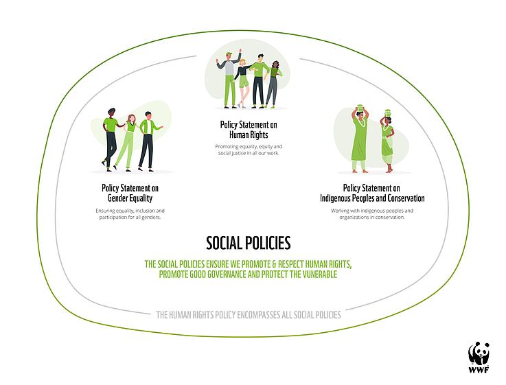 Social Policies and Their Impact on Well-Being