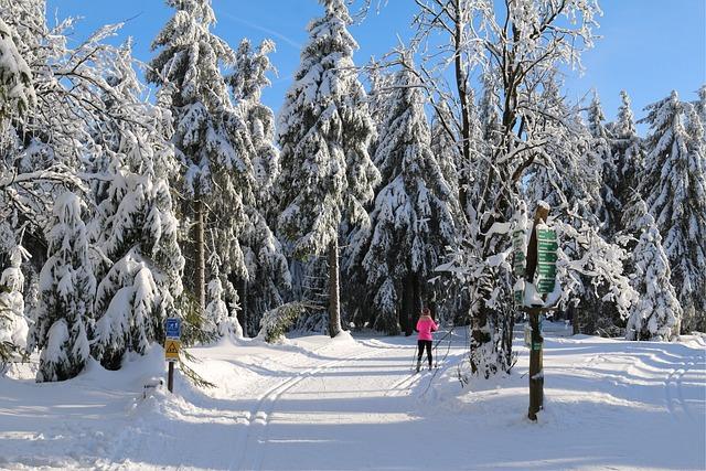 the Thrill of Skiing Near Glaciers and Volcanoes