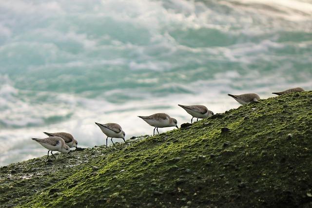 Family-Friendly Beaches and Activities for All Ages