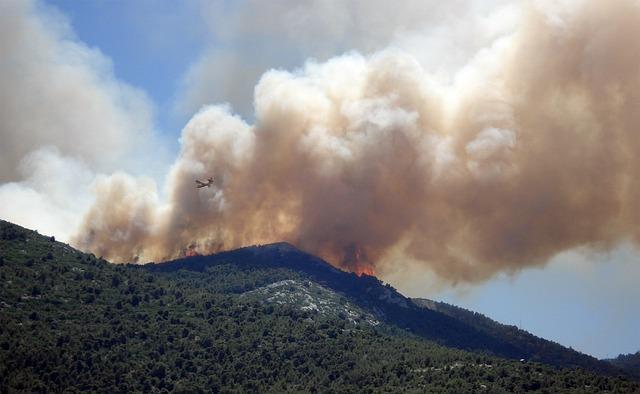 Assessment of Current Wildfire outbreaks and⁢ their Environmental Impact