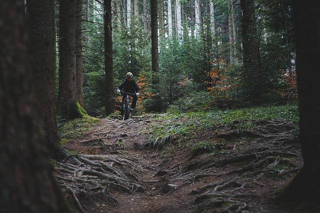 Analyzing the Competitive Landscape of Women’s Mountain Biking