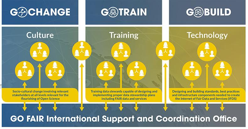 Recommendations for ⁢a Fair and ‍Transparent implementation Process