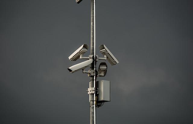 The role of Camera Surveillance in Monitoring Peaceful Protests in the Netherlands