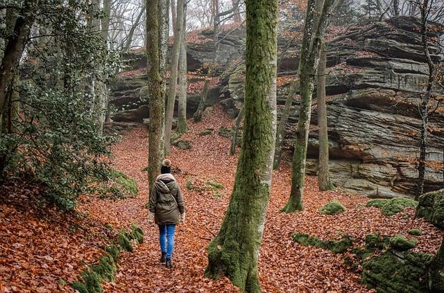 Practical Tips for Hiking Enthusiasts in Cilento