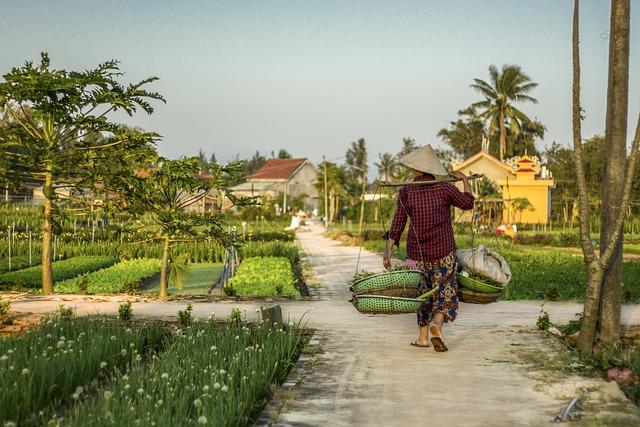 Technological ‌Innovations: ‍Tools and Techniques of early Farmers