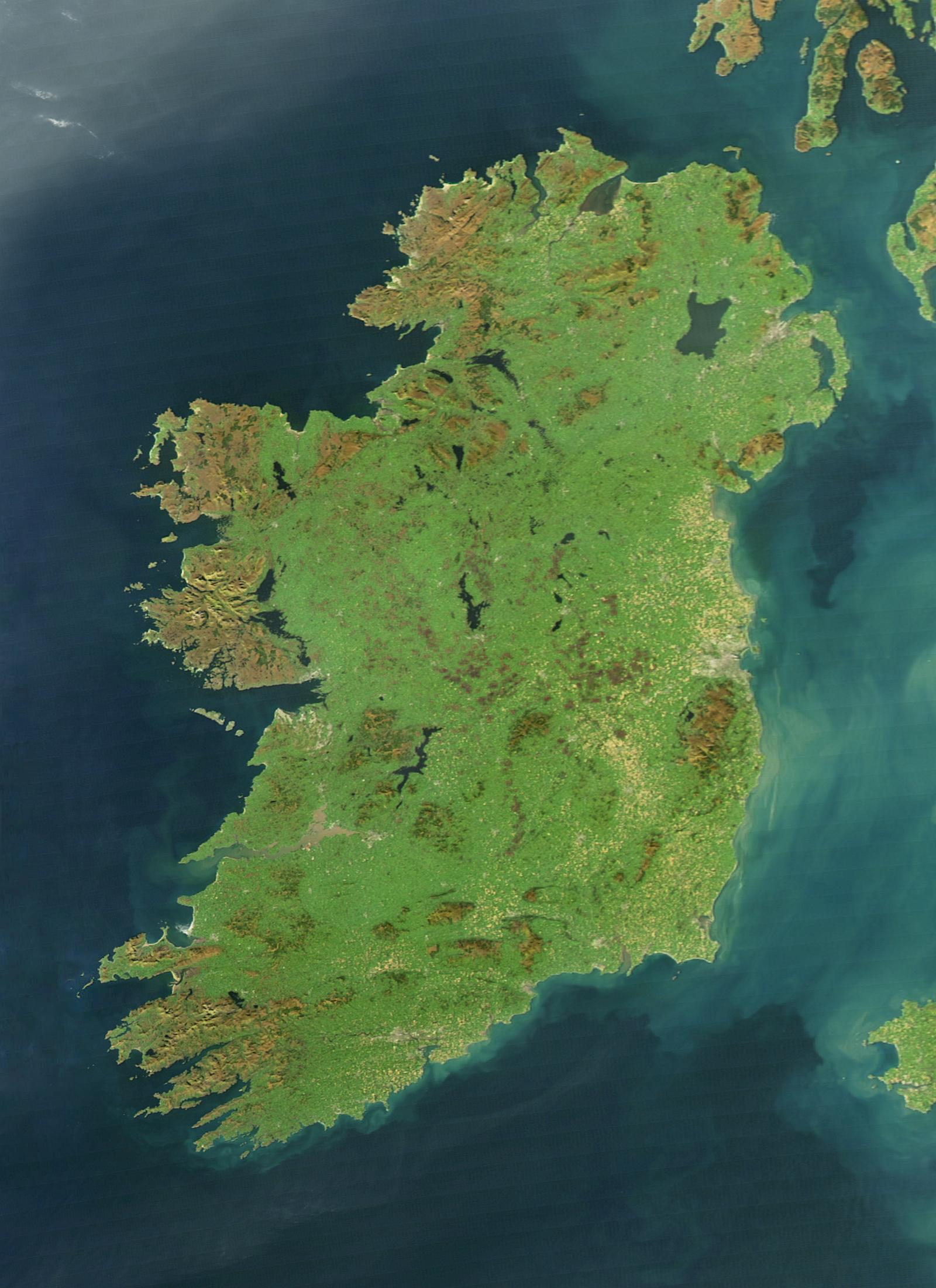 International Reactions: Support and Opposition to Irelands Proposal