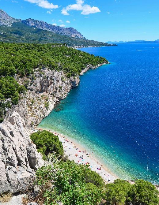Croatia's new passenger car registrations down 0.4% y/y in Jan – ACEA - SeeNews
