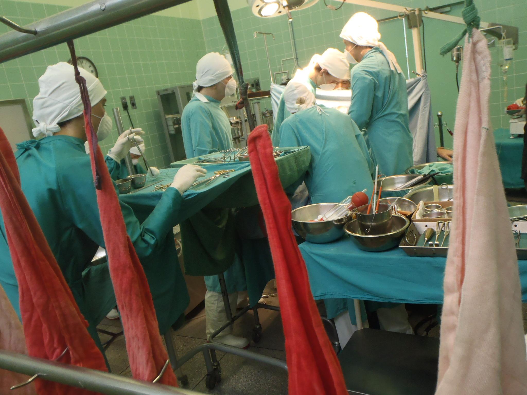 Ministry of Health Achieves milestone with Successful Transplant Surgeries