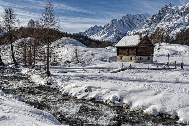 Integrating art with Nature: The cabins Unique Aesthetic Appeal