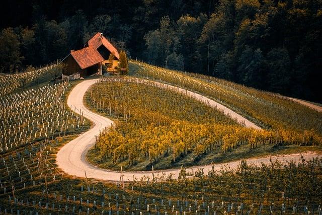 Savoring Slovenias Culinary Delights and Wine Regions