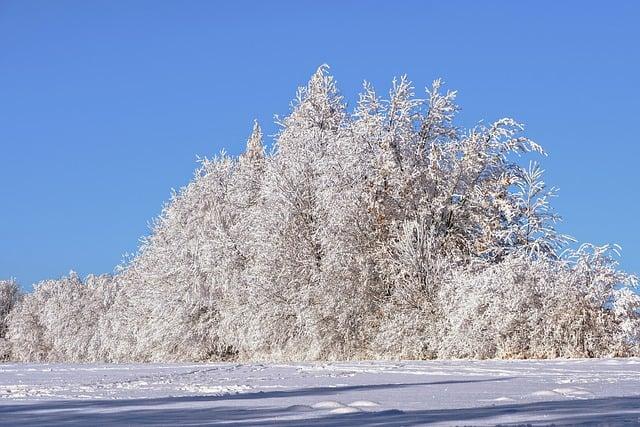 Discover the Enchantment of snow-covered Landscapes