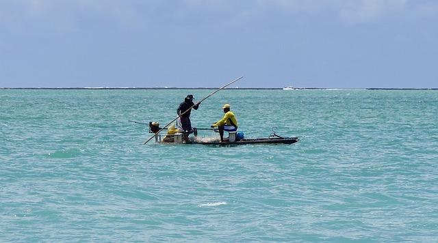 Implications ⁣for Fisheries Management in the North ​Atlantic