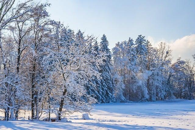 Health Precautions During Extreme Cold Conditions