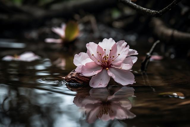 The Role of Nature and Outdoor activities​ in Finnish Well-Being