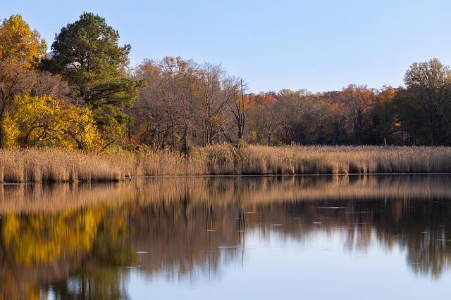 Spiritual Reflections: finding Meaning by the Water