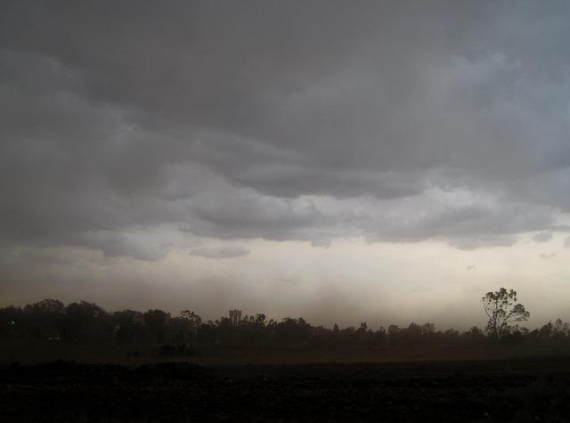 Future Mitigation Strategies for Dust Storm Challenges in the Region