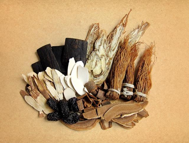 Understanding the Principles of Traditional Chinese Medicine