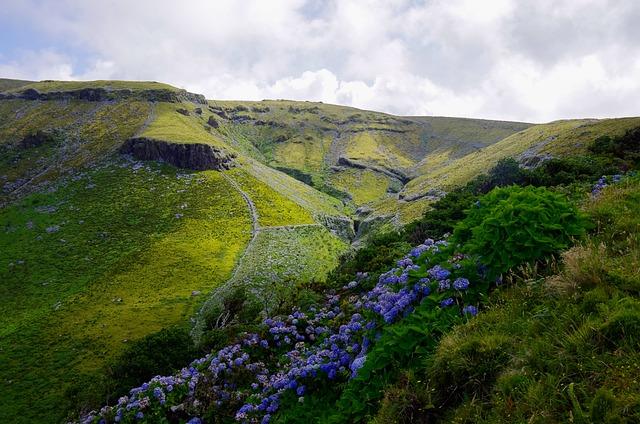 Experiencing Local Traditions in the Azores