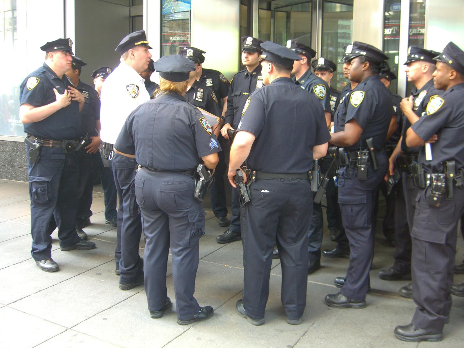 The Role of Law Enforcement in Combating EU Subsidy Fraud