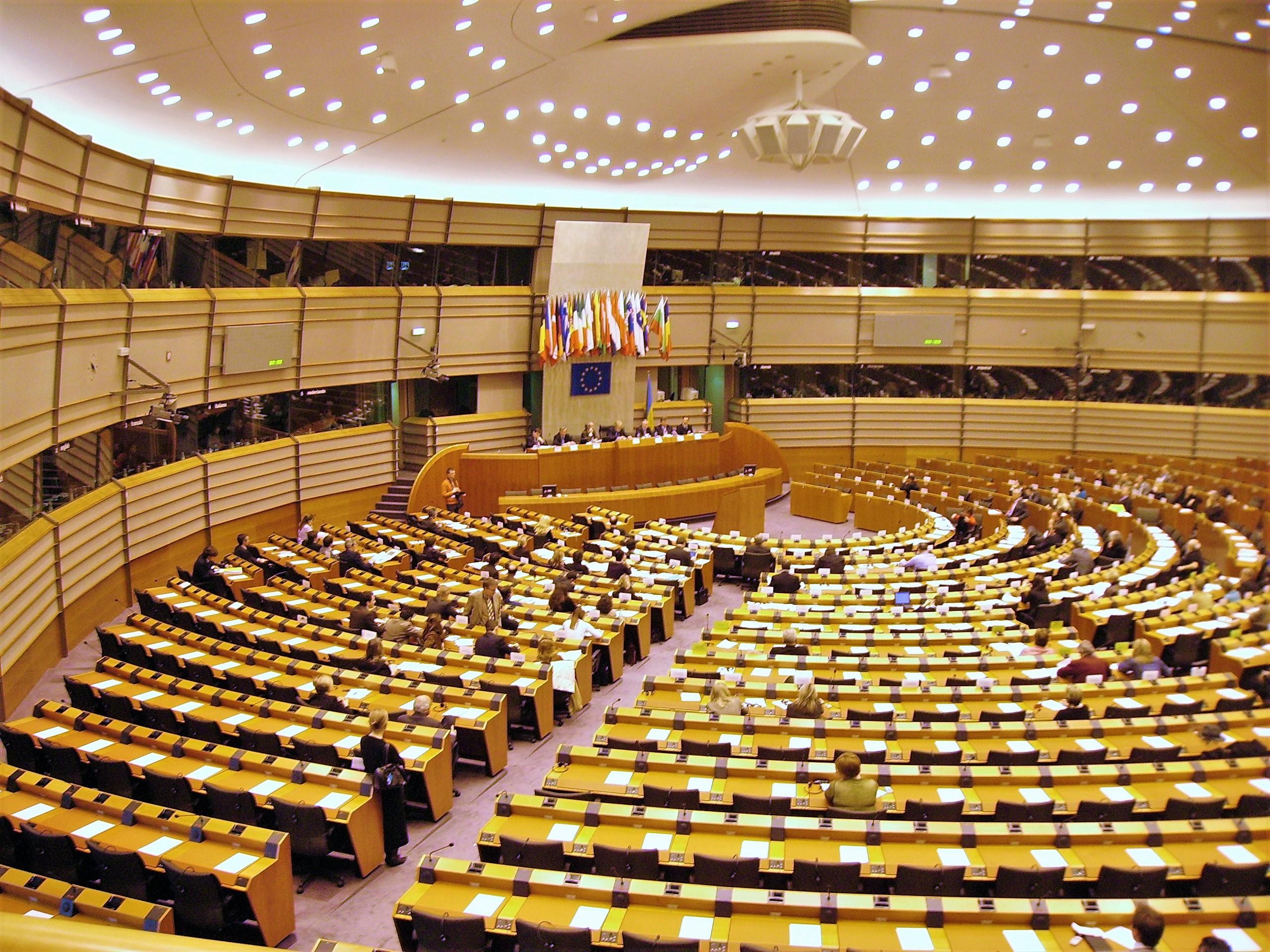 European Parliaments Decision-making ​Process on Hungarys Voting rights