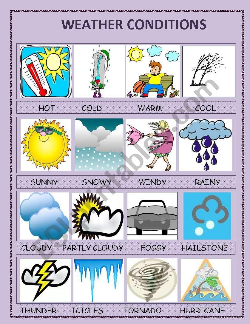 Weather Conditions and Their Impact on performance