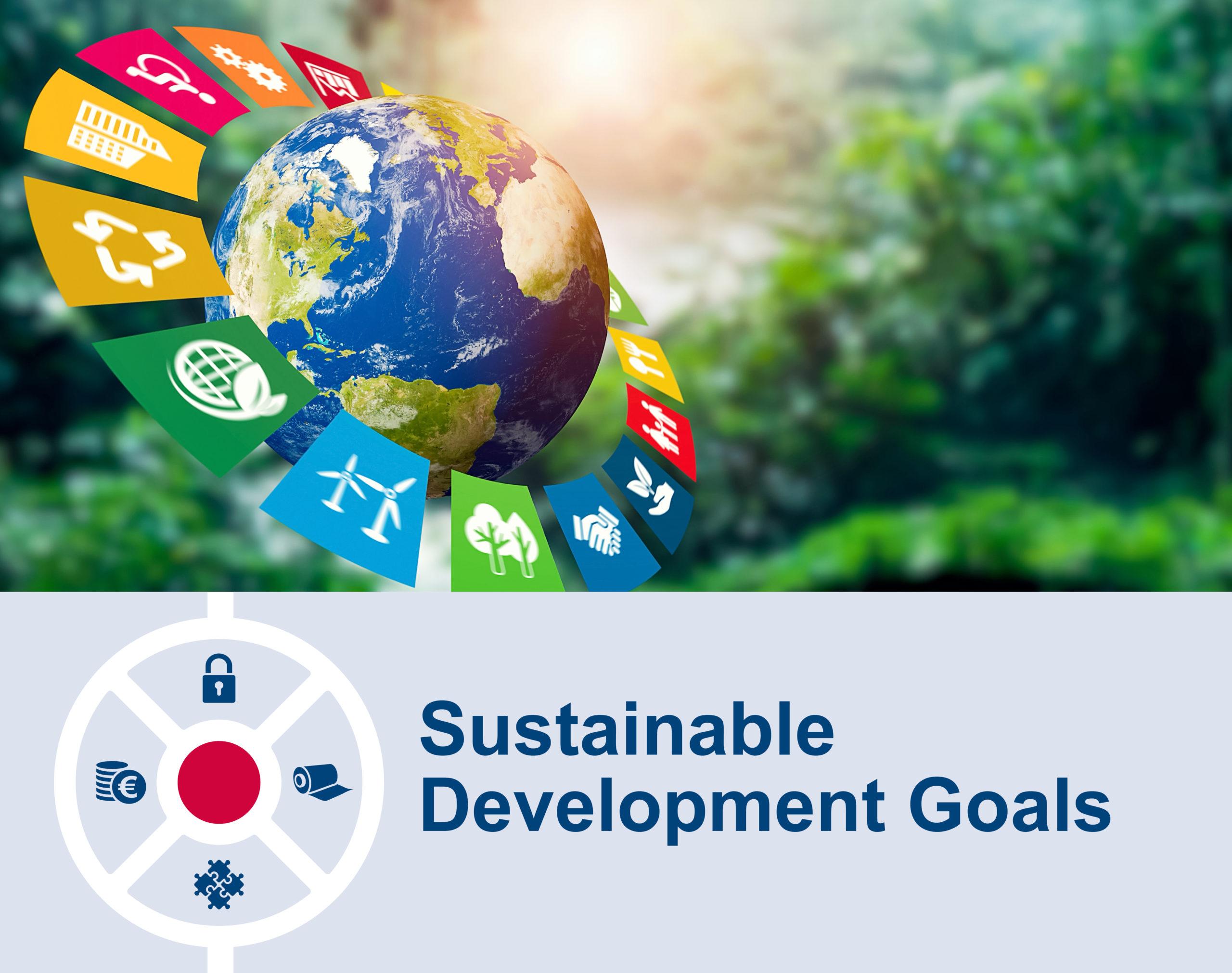 Implementing Sustainable Development Strategies