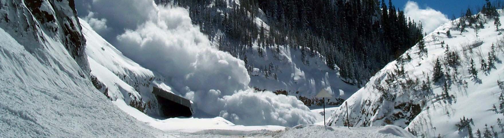 Audience Reception and Expectations: How avalanche aligns with Global climate Discourse