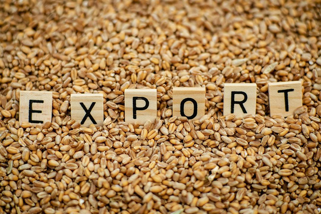 The Economic Impact⁢ of‍ Grain ⁢Exports from Ukraine to ‍Lithuania