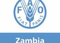 Raising the Bar on Food Safety: How FAO and North Macedonia’s Veterinary Agency are Leading the Charge for Codex Standards