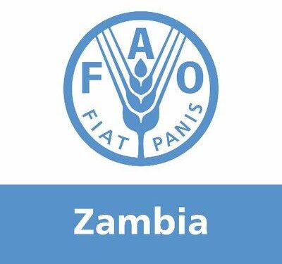 Raising the Bar on Food Safety: How FAO and North Macedonia’s Veterinary Agency are Leading the Charge for Codex Standards