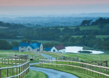 From Dorset Farm to Island Paradise: A Star’s Thrilling New Journey!