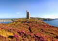 Unveiling New Fees for Freedom of Information Requests in the Isle of Man
