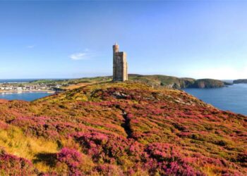 Unveiling New Fees for Freedom of Information Requests in the Isle of Man