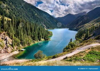 Kazakhstan Unveils Innovative Online Application Pilot for ID Document Reforms!