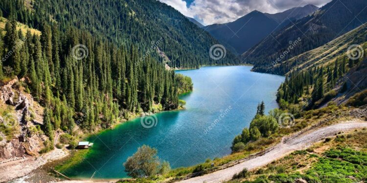 Kazakhstan Unveils Innovative Online Application Pilot for ID Document Reforms!