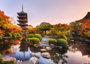 Japan and Bosnia Unite with Continental for an Exciting New Partnership!