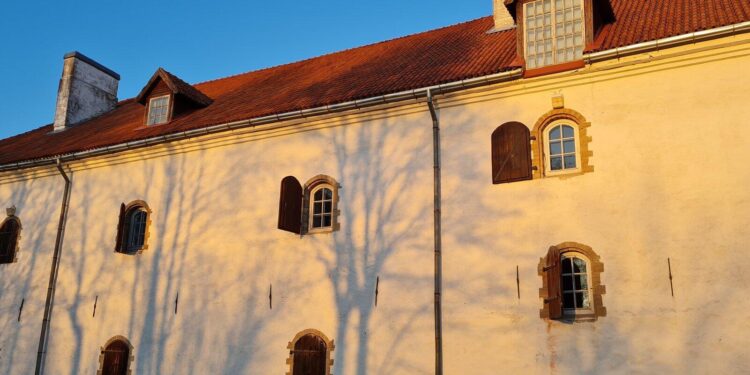 Provocative Statement: Narva Museum’s Bold Putin-Hitler Banner Ignites Heated Debate