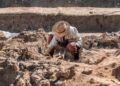 Unearthing History: Stunning Ancient Roman Water Pipes Discovered in Belgium!