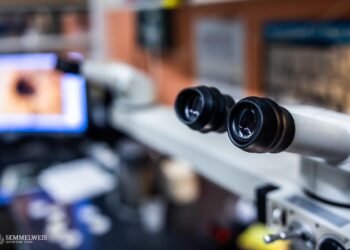 Discover New Horizons: The HU-RIZON International Research Excellence Program in Hungary