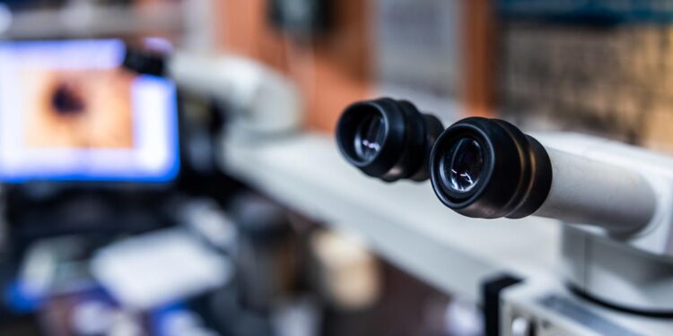 Discover New Horizons: The HU-RIZON International Research Excellence Program in Hungary